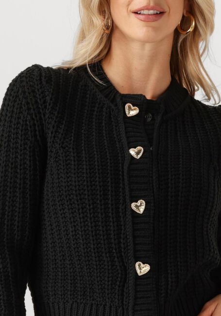 FABIENNE CHAPOT Gilet SUN CARDIGAN 1 en noir - large