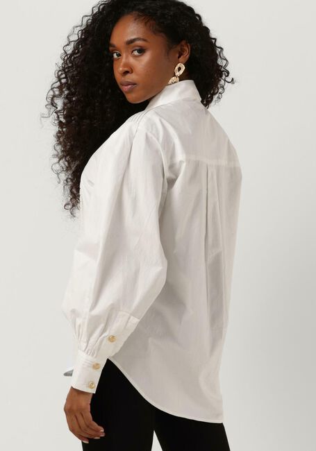 Witte JOSH V  BOBBI - large