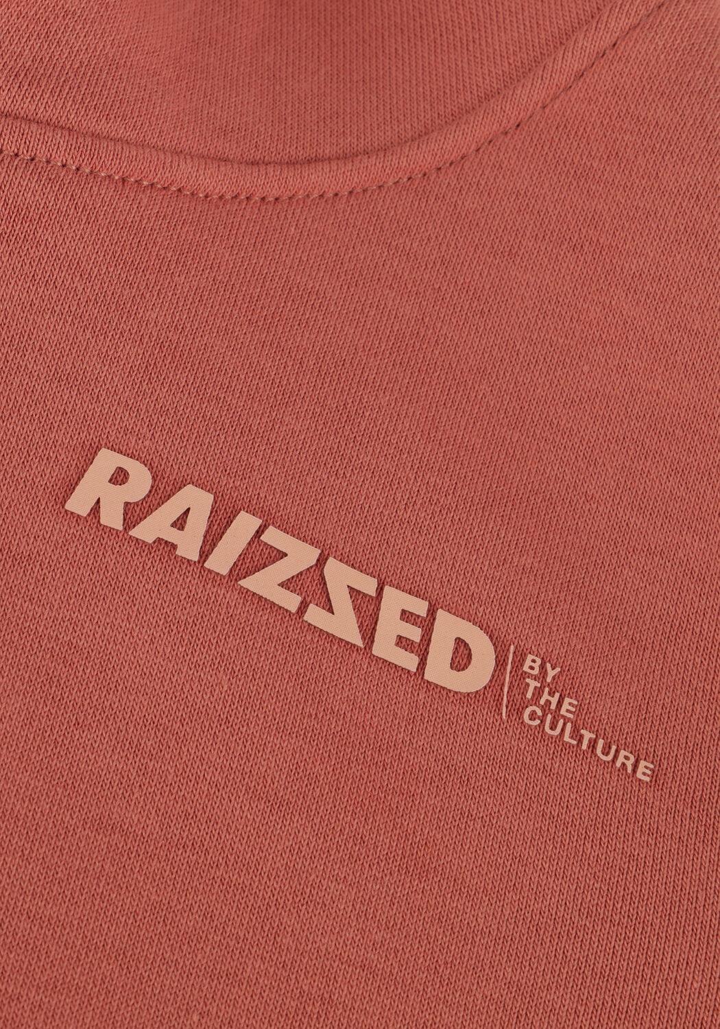 RAIZZED Pull NEWFIELD en rose - large