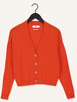 Oranje NOT SHY Vest JUANA Oranje NOT SHY Vest JUANA - medium