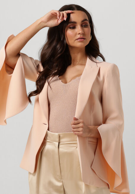 Lichtroze TWINSET MILANO Blazer 241TP2290 - large