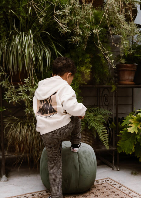 DAILY7 HOODIE BACKPRINT ADVENTURES Pulls & Gilets Sable - large