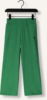 Groene RAIZZED Pantalon VERA Groene RAIZZED Pantalon VERA - medium