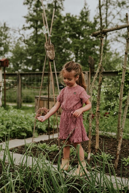 Roze KOKO NOKO Mini jurk N58983 - large