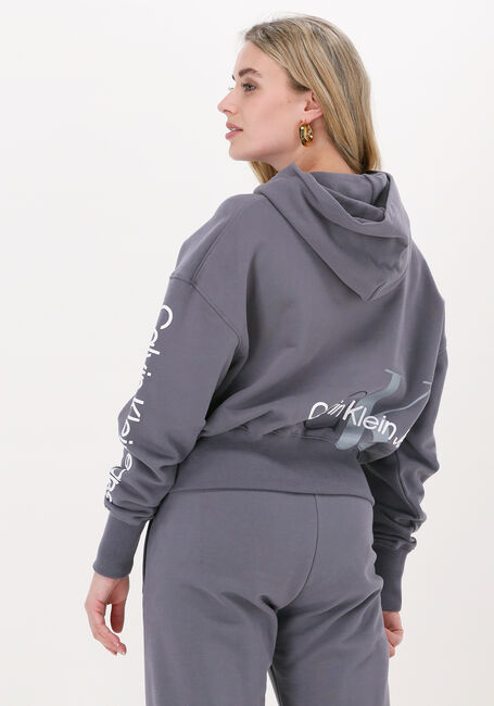 CALVIN KLEIN Chandail BACK TWO TONE MONOGRAM HOODIE en gris - large