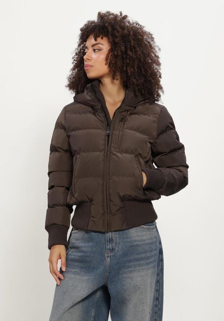 Bruine AIRFORCE Gewatteerde jas TATE BOMBER - large