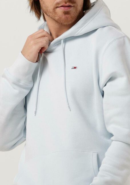 TOMMY JEANS Chandail TJM REG SOLID HOODIE Bleu clair - large