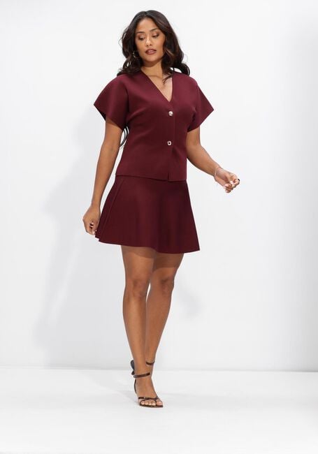 Bordeaux NOTRE-V Minirok NV-HILTJE - large