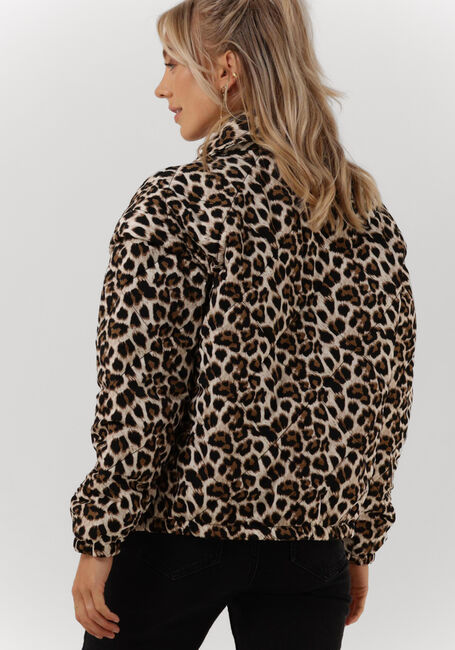 Bruine REFINED DEPARTMENT Jack JAY - large