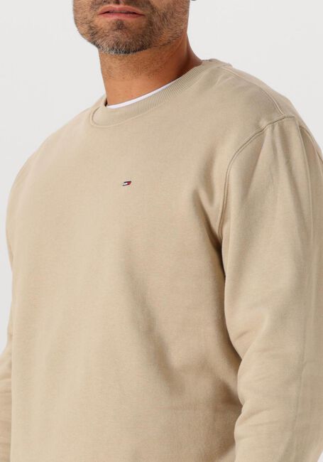 Beige TOMMY JEANS Trui TJM REG S FLAG CREW EXT - large