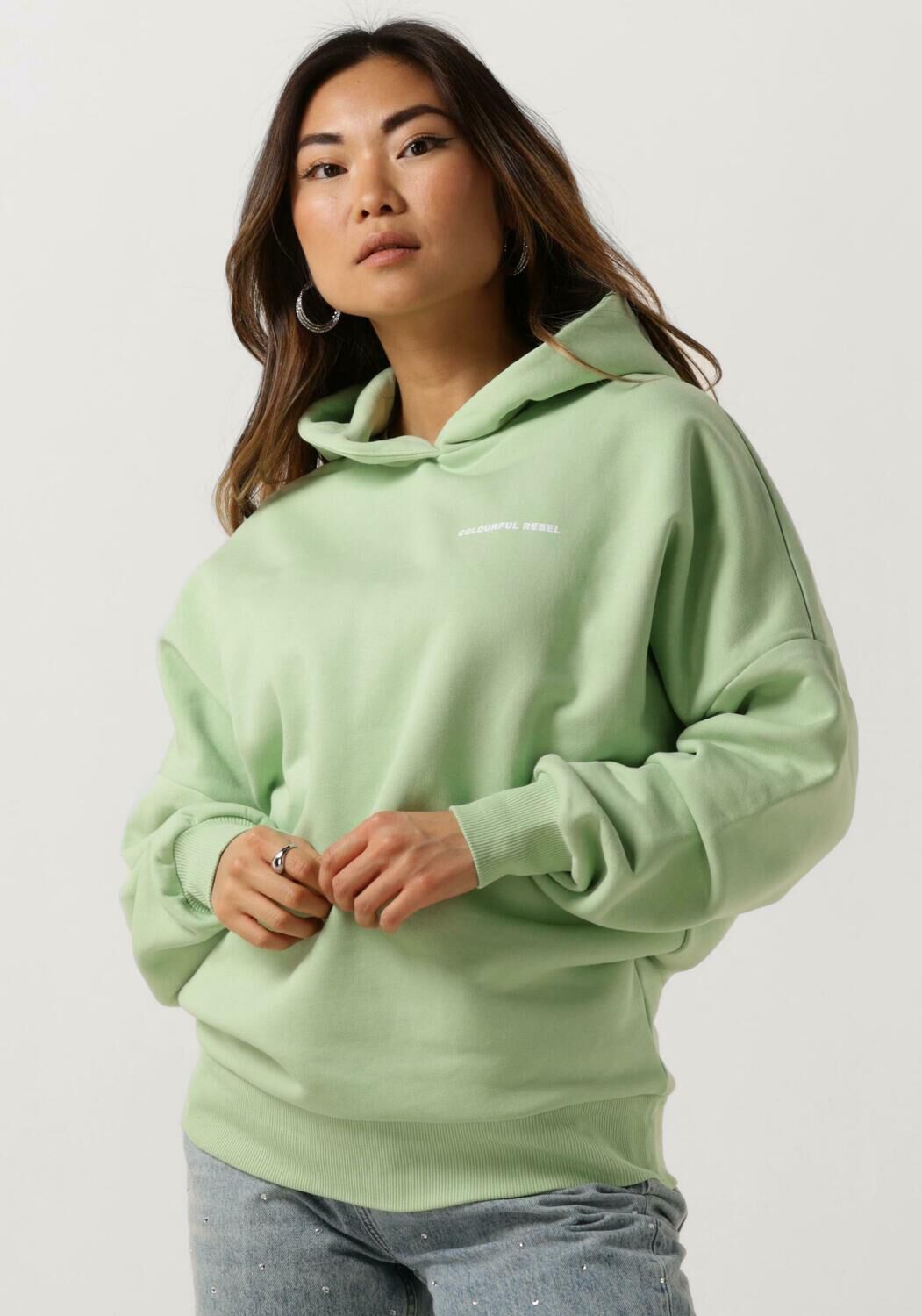 Mint COLOURFUL REBEL Trui CR BACK LOGO DROPPED SHOULDER HOODIE Omoda
