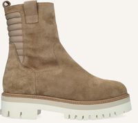 Camel NOTRE-V  42422 - medium