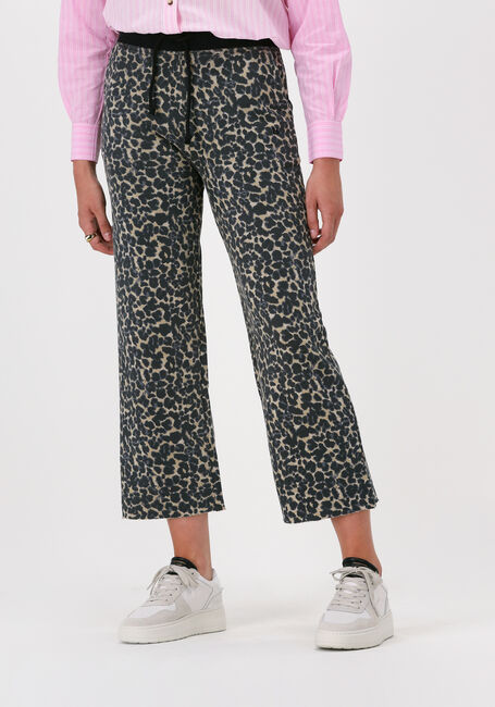 Leopard LEON & HARPER Joggingbroek PARTOU JC55 LEO - large