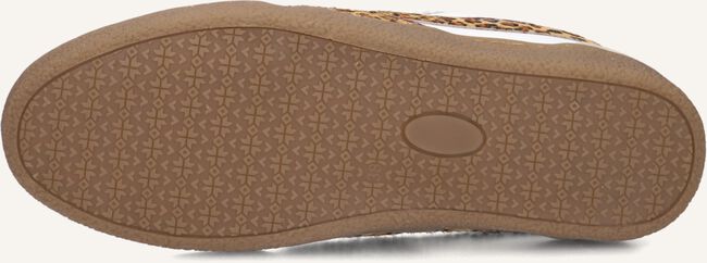 Beige HABOOB Sneakers CHARLOTTE Beige HABOOB Sneakers CHARLOTTE - large