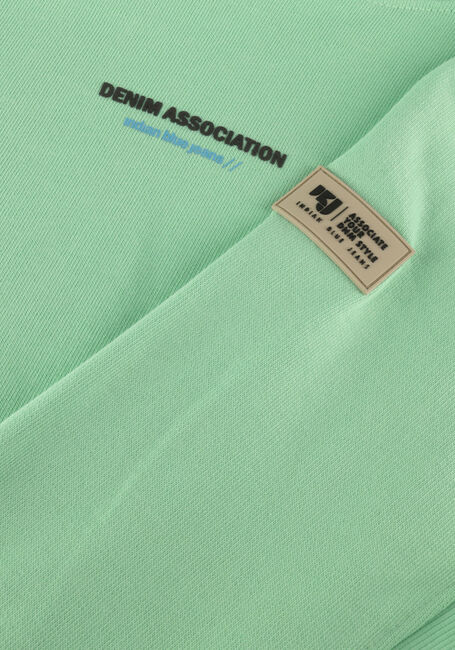 INDIAN BLUE JEANS Chandail HOODIE BACKPRINT WASHED en vert - large