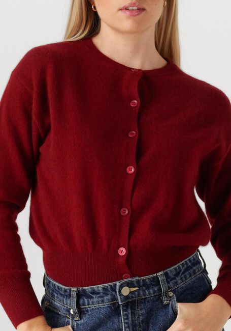 TWNS Gilet MONTROSE Bordeaux - large