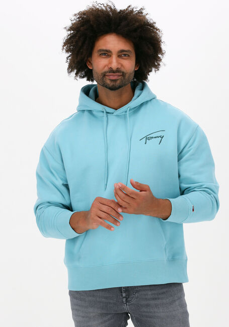 Lichtblauwe TOMMY JEANS Sweater TJM SIGNATURE HOODIE - large