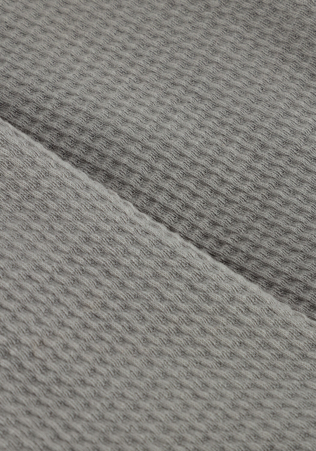 MR. LOUTRE Pantalon courte ODD en gris - large