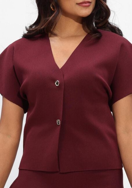 Bordeaux NOTRE-V Trui NV-FUMIE - large