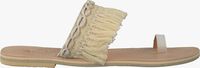 Beige HOT LAVA Slippers CA1762 - medium