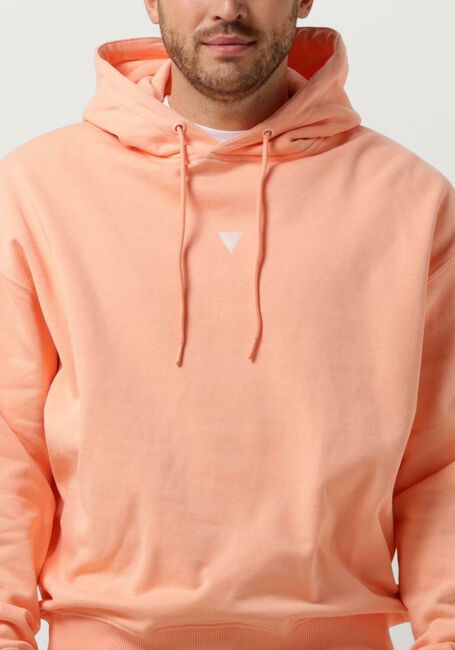 PURE PATH Pull HOODIE WITH BACK PRINT AND SMALL FRONTPRINT Corail - large