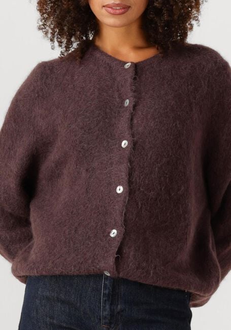 Bruine AAIKO Trui LORYS WP 389 - large