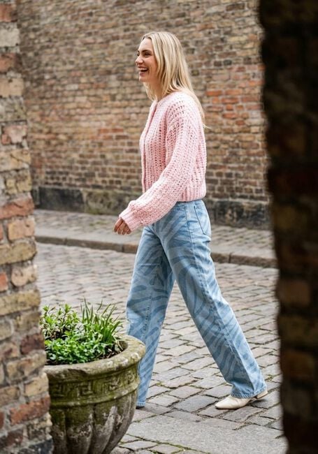 Lichtblauwe DANTE6 Wide jeans WIDE LEG PRINTED JEANS - large