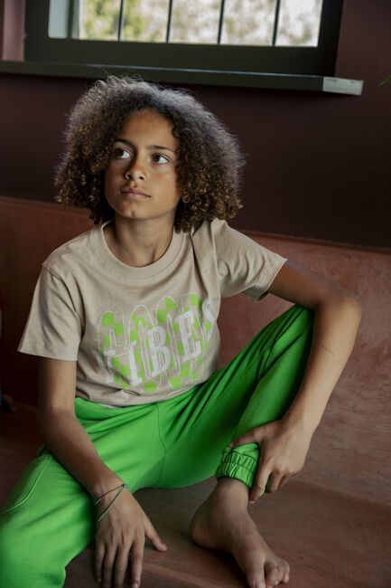 AMMEHOELA T-shirt AM.ZOE.60 Sable - large