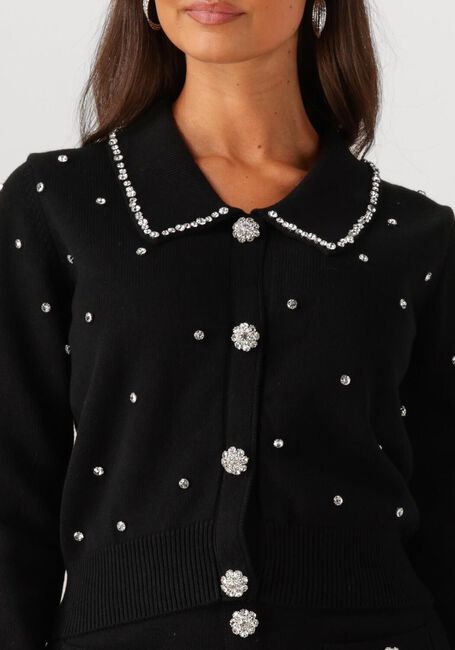 Zwarte SILVIAN HEACH Vest CARDIGAN NOLLEY - large