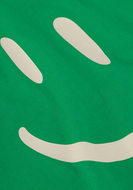 Groene MOLO T-shirt ROXO Groene MOLO T-shirt ROXO - large