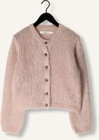 Lichtroze INWEAR Vest JETRAIW CARDIGAN Lichtroze INWEAR Vest JETRAIW CARDIGAN - medium