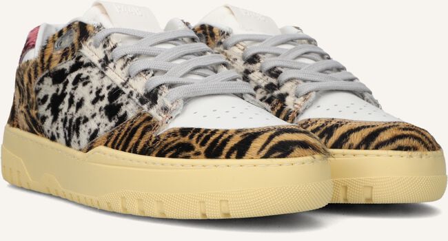 Multi P448 Sneakers MASON WMN Multi P448 Sneakers MASON WMN - large