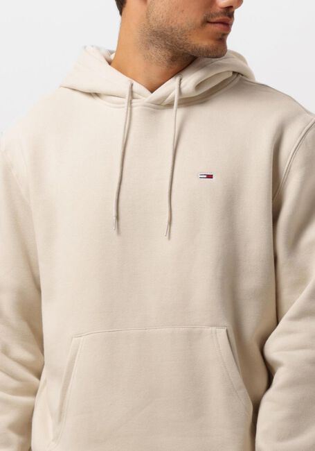 Beige TOMMY JEANS Truien/vesten TJM REG S FLAG HOODIE - large