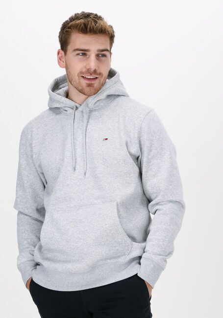 TOMMY JEANS Chandail TJM REGULAR FLEECE HOODIE Gris clair - large
