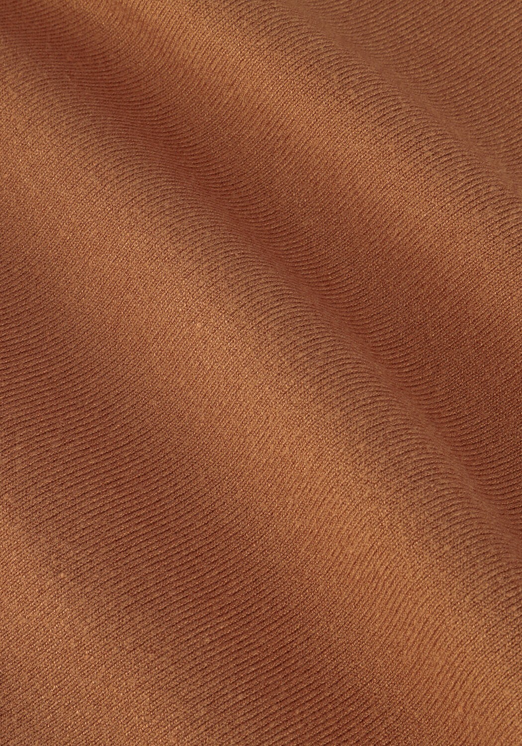 Camel PENN & INK Coltrui COLL NECK - large