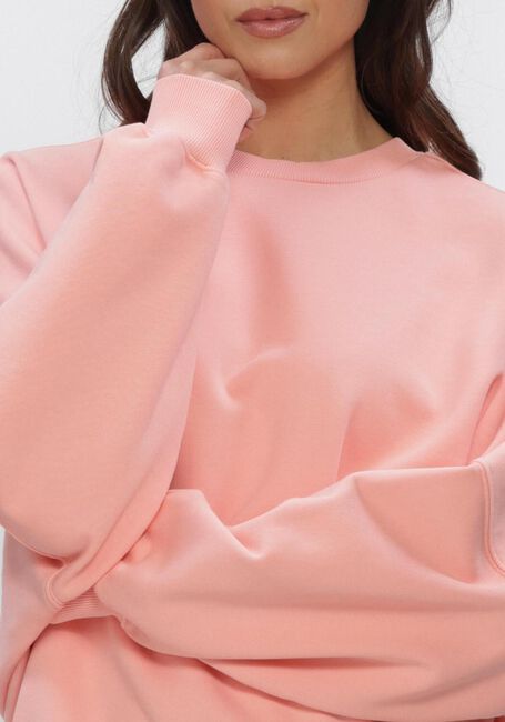 DRYKORN Pull ASTERA_P4 en rose - large