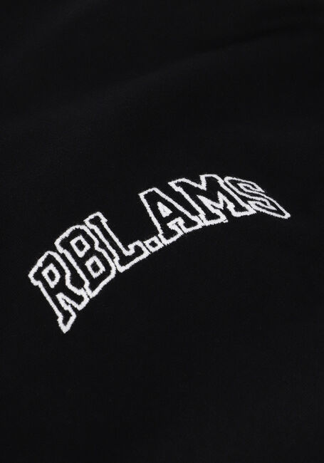 COLOURFUL REBEL T-shirt RBL AMS SMALL CHEST TEE en noir - large