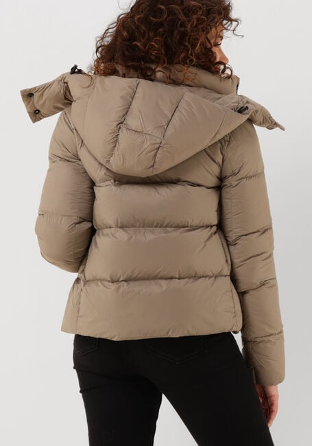 Taupe CALVIN KLEIN Gewatteerde jas CK MW DOWN SHORT PUFFER - large