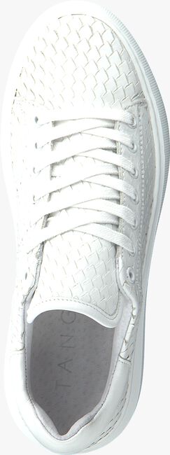 Witte TANGO Lage sneakers INGEBORG - large