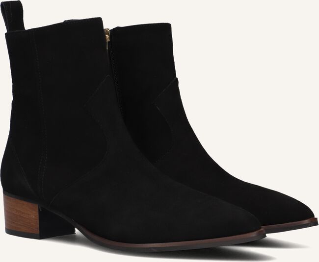 NOTRE-V 3231 NOTRE-V 3231 - large