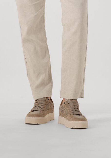 Taupe CLAY Sneakers LPIVAR-18 - large