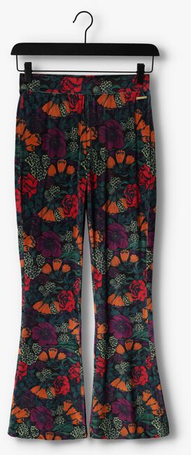 COLOURFUL REBEL Pantalon évasé JOLIE BIG FLOWER VELVET FLARE PANTS en multicolore - large