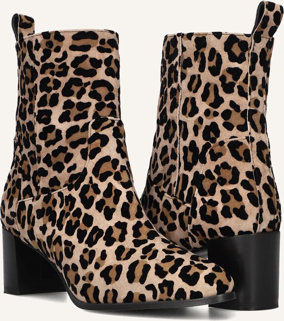 NOTRE-V 8543 NOTRE-V 8543 - large