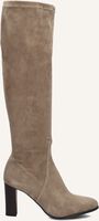Taupe STEFANO LAURAN  97480 Taupe STEFANO LAURAN  97480 - medium