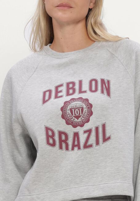 DEBLON SPORTS Chandail AYMEE SWEATER en gris - large