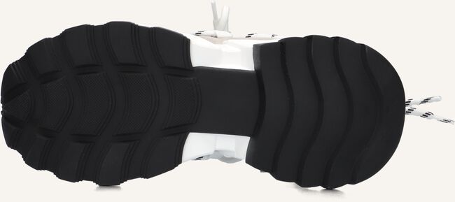 Witte STEVE MADDEN Sneakers TAZMANIA Witte STEVE MADDEN Sneakers TAZMANIA - large