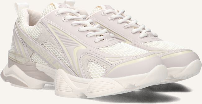 Taupe STEVE MADDEN Sneakers SPEEDSTER-E Taupe STEVE MADDEN Sneakers SPEEDSTER-E - large