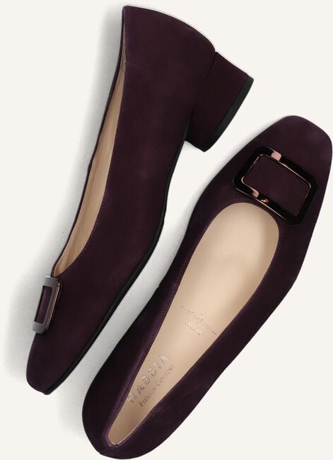 Paarse HASSIA  302627 Paarse HASSIA  302627 - large