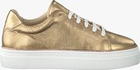 Gouden ROBERTO D'ANGELO Lage sneakers FERMO - medium