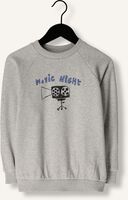 Grijze Sproet & Sprout Sweater SWEATSHIRT RAGLAN MOVIE Grijze Sproet & Sprout Sweater SWEATSHIRT RAGLAN MOVIE - medium